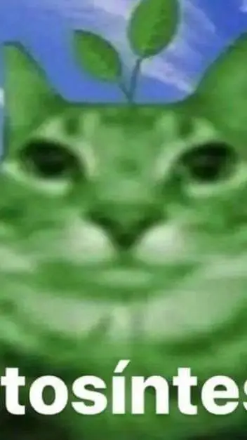 ai character: gatito fotosíntes background