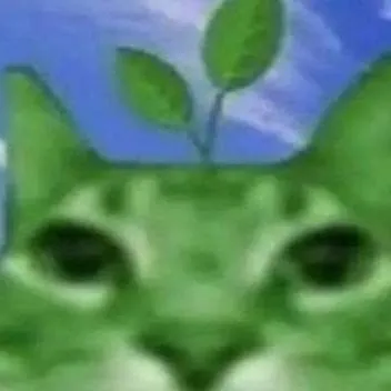 chat with ai character: gatito fotosíntes