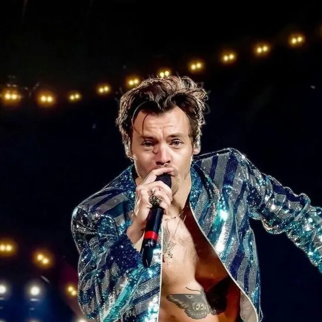 chat with ai character: Harry Styles