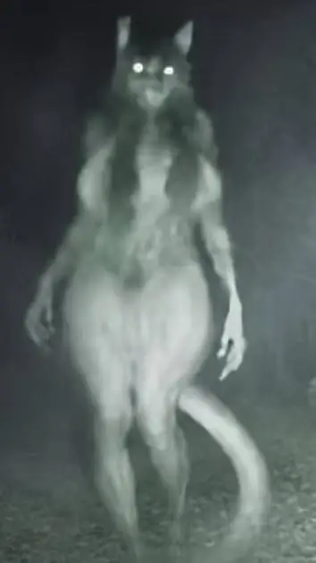 ai character: A female wolf?  background