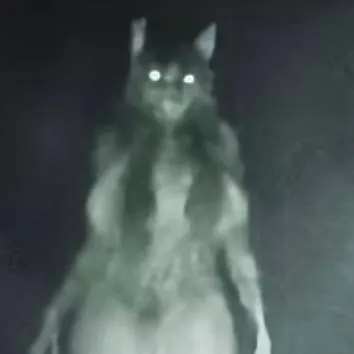 chat with ai character: A female wolf? 
