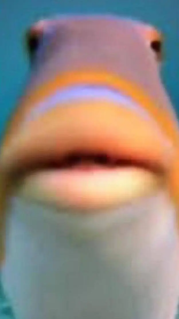 ai character: gufee blub fesh background