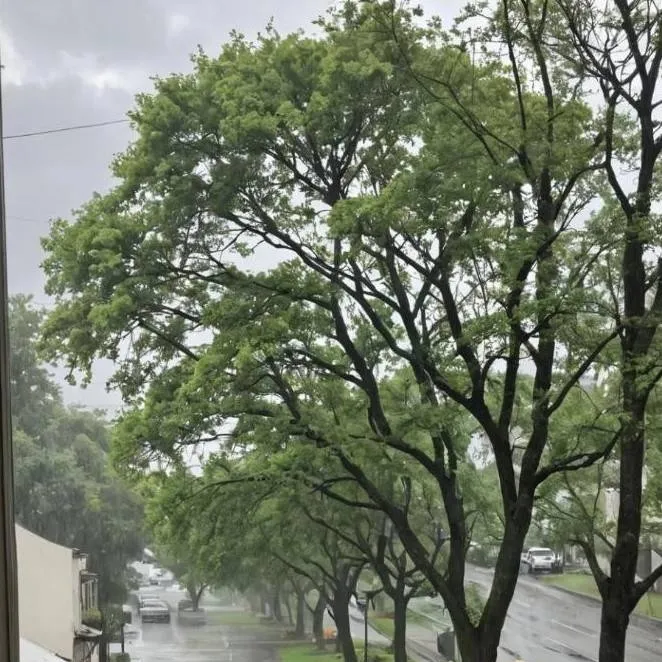 chat with ai character: ~Sonic RD~