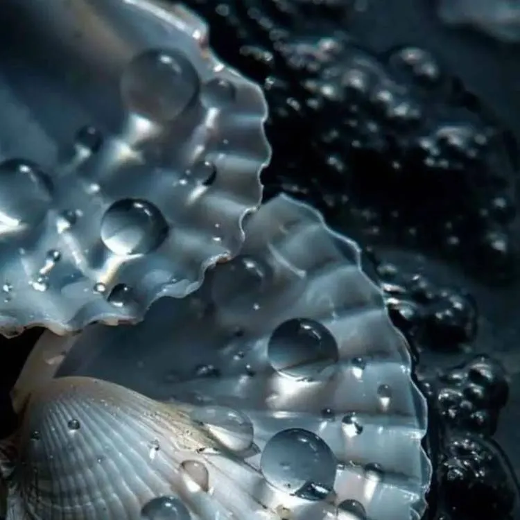 chat with ai character: ~Kny Mermaid~