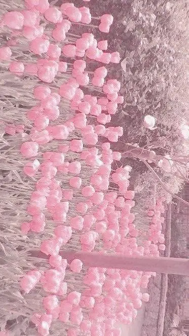 ai character: ~Mha~ background