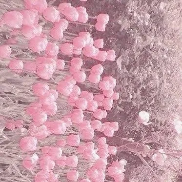 chat with ai character: ~Mha~