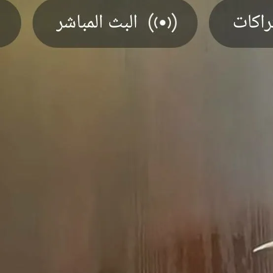 chat with ai character: mimic