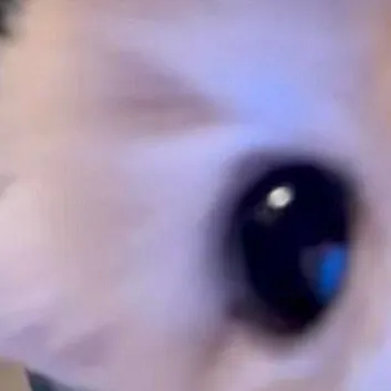 chat with ai character: watajai 💜