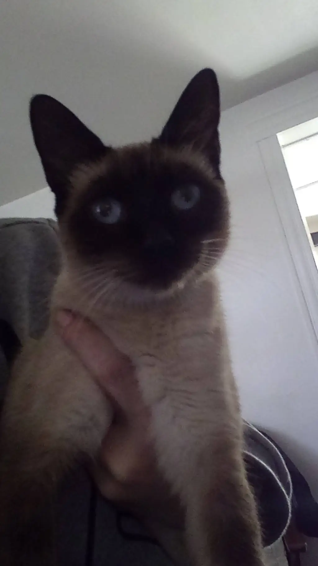 ai character: boots  background