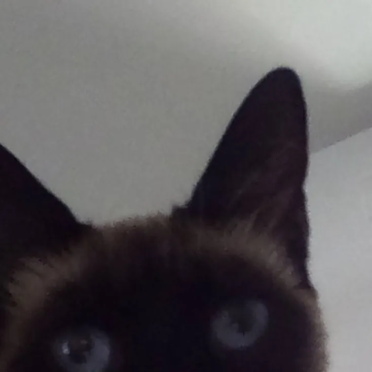 chat with ai character: boots 