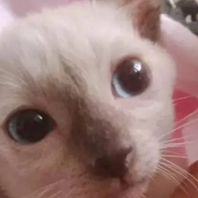 chat with ai character: Creep