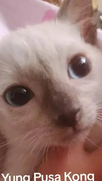 ai character: Old guy background