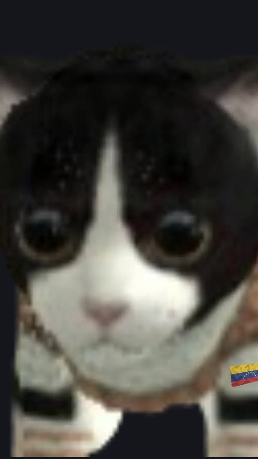 ai character: ItsMrFelino background