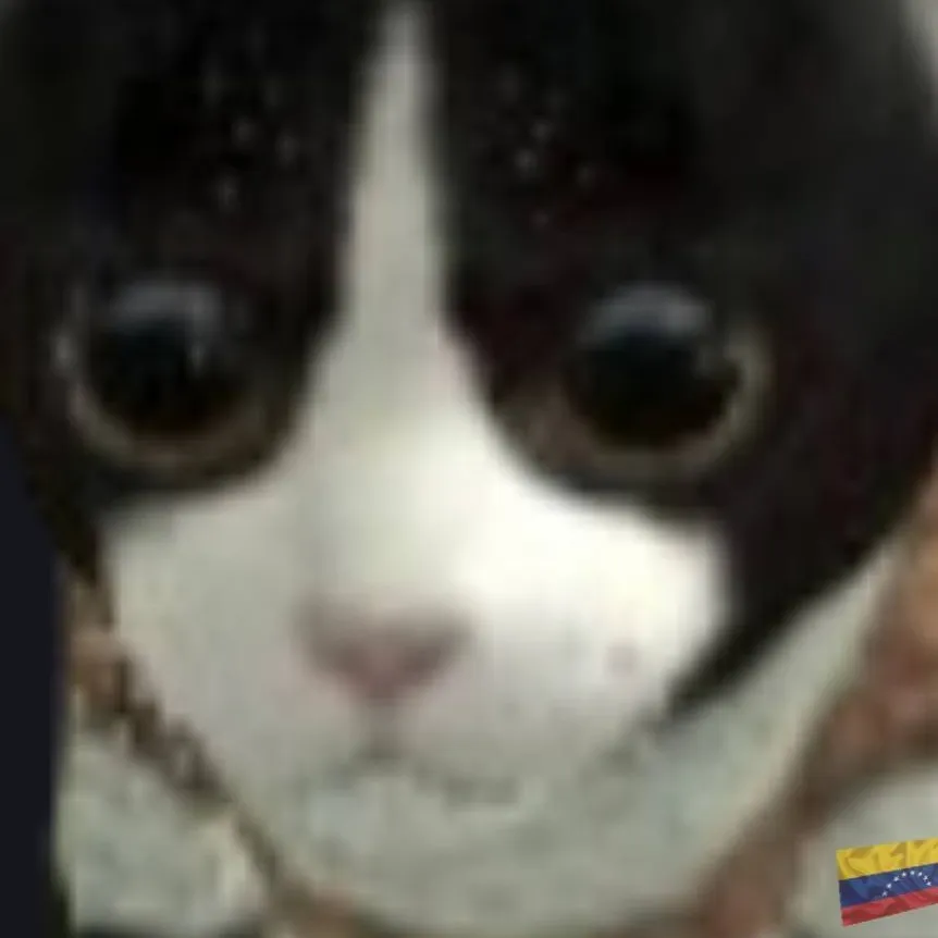 chat with ai character: ItsMrFelino