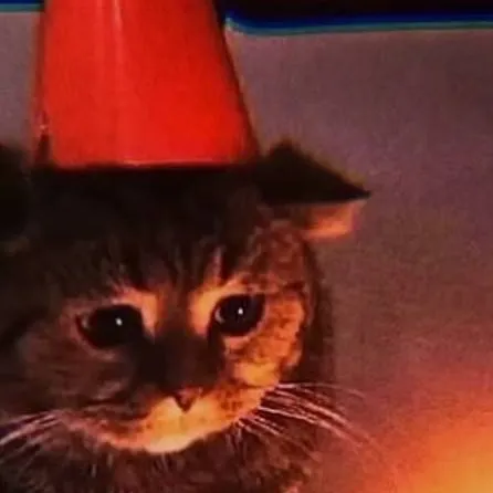 chat with ai character: sad kitten