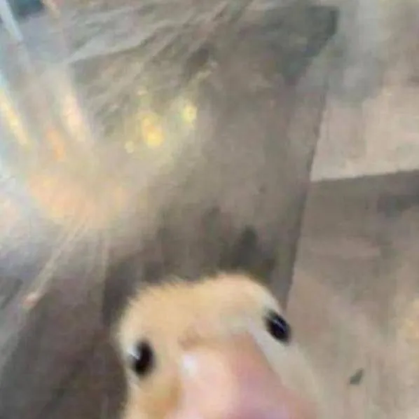 chat with ai character: bro de pablo 🗣