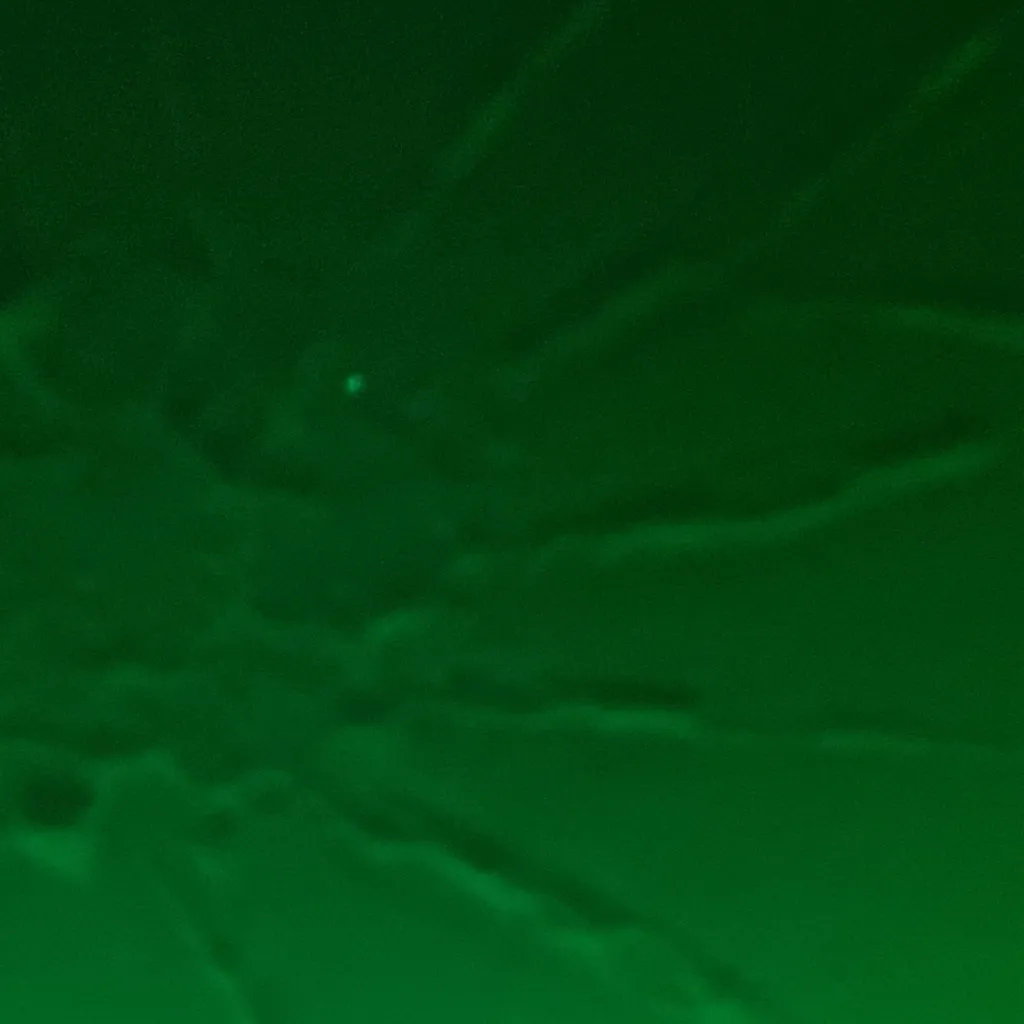 chat with ai character: Ribecca￼