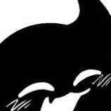 chat with ai character: crea tu historia 2