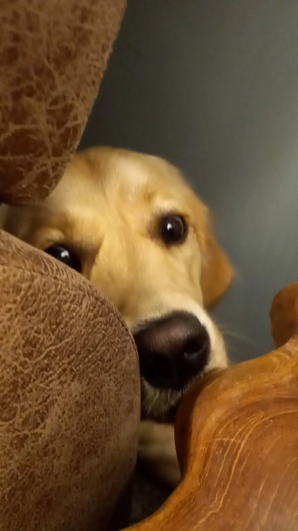 ai character: ideas plz background