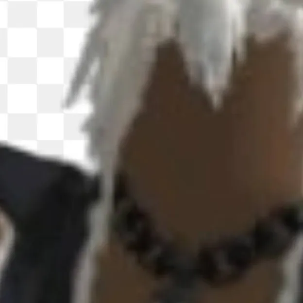 chat with ai character: zioles