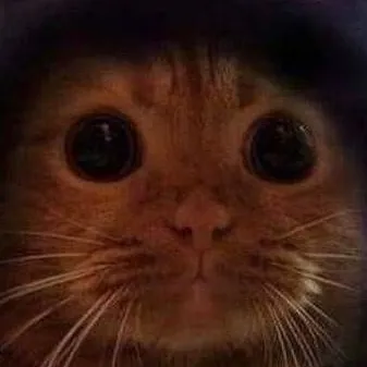 chat with ai character: Gato comunista 🗣🇷🇺