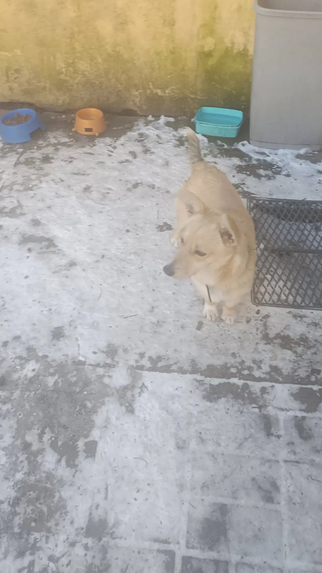 ai character: Lampo  background