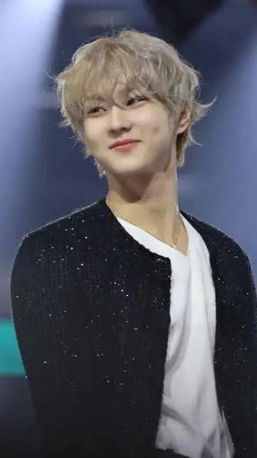 ai character: Jungwon background