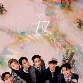 chat with ai character: Seventeen