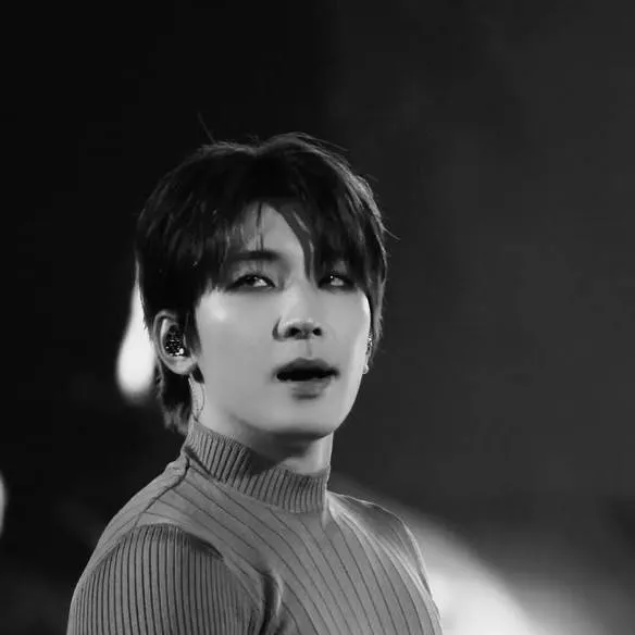 chat with ai character: Wonwoo