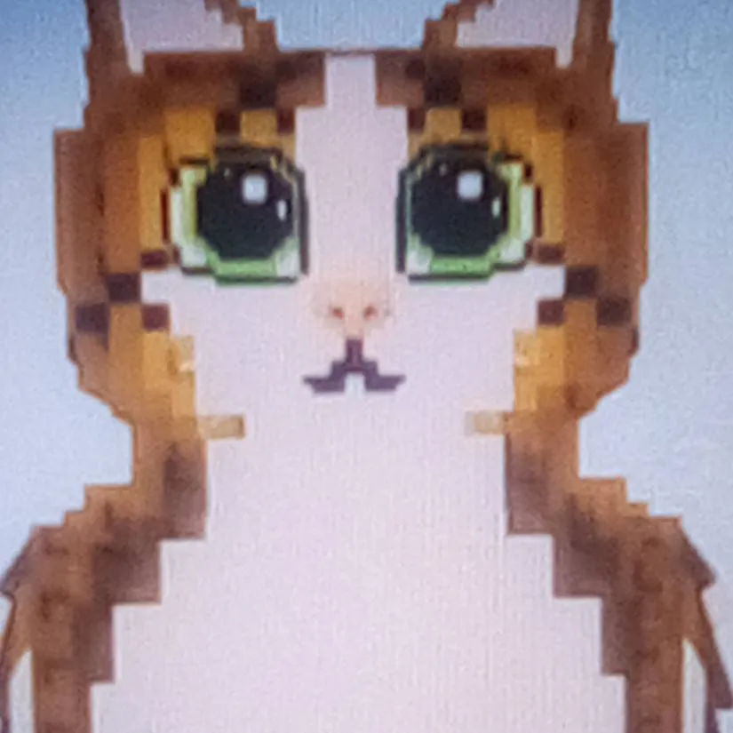 chat with ai character: Meowl