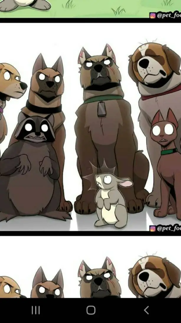 ai character: Pixie Friends background