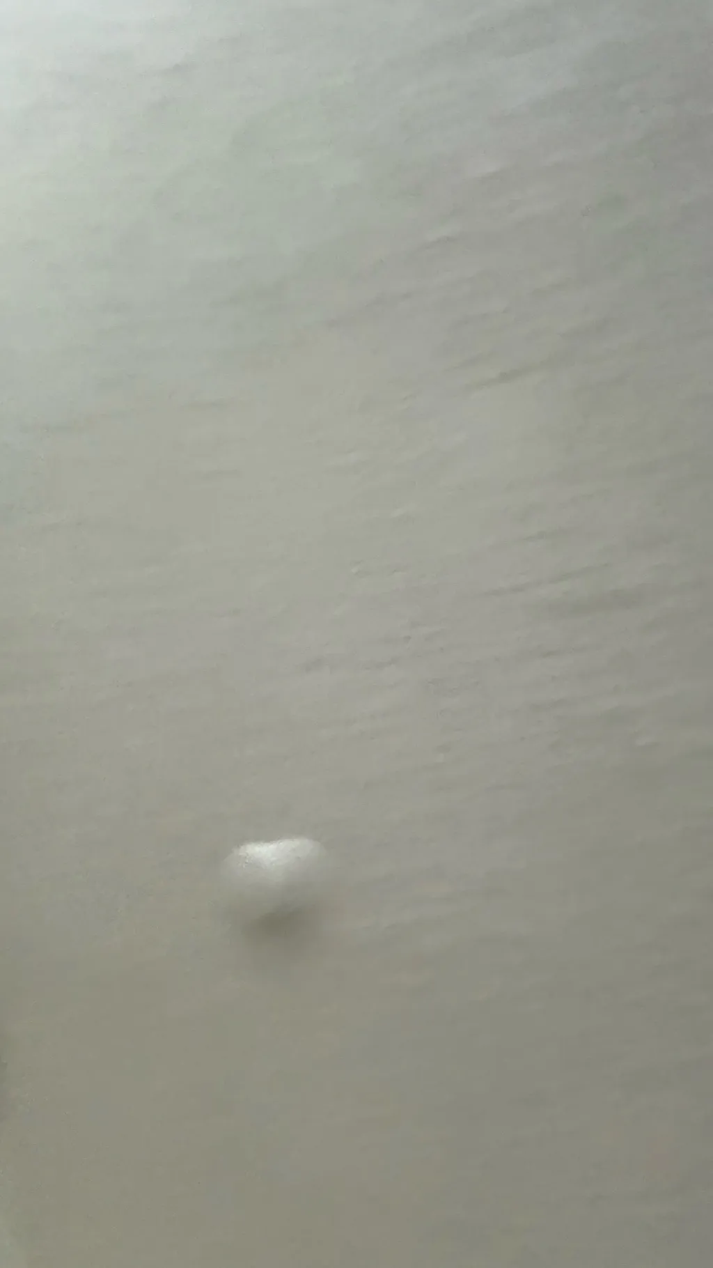 ai character: Cookie cat background