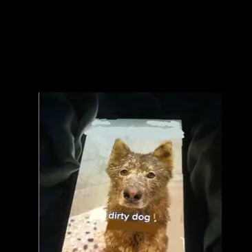 chat with ai character: Dirty dog