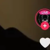 chat with ai character: ya no quiero  má.