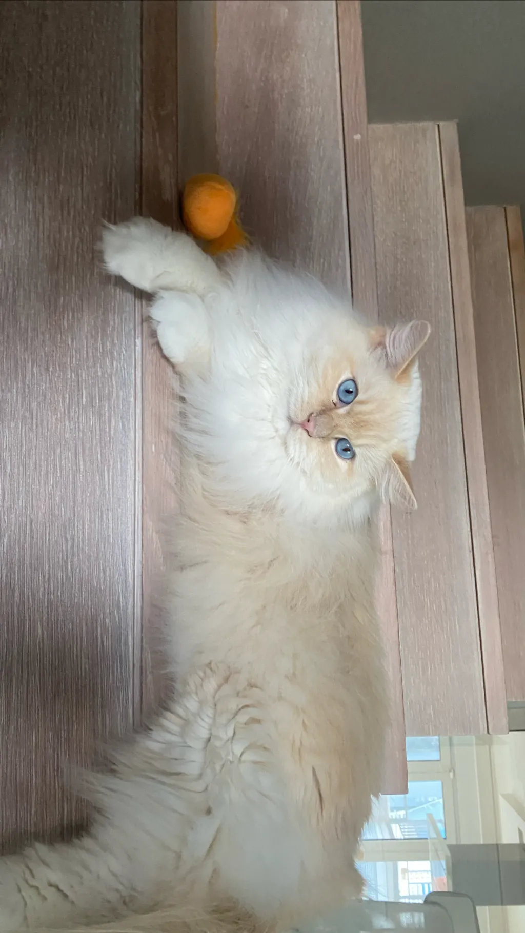 ai character: Milk background