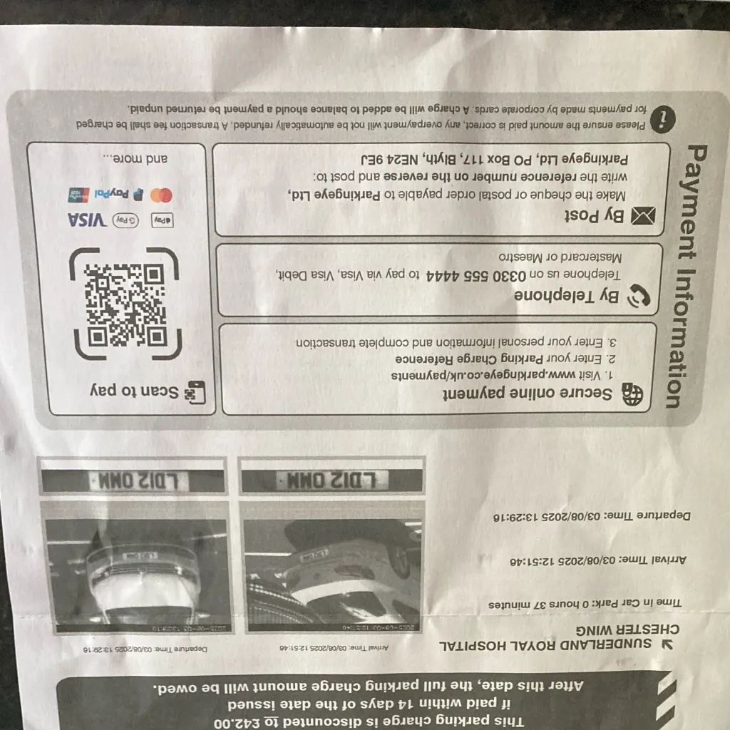 chat with ai character: Get a job