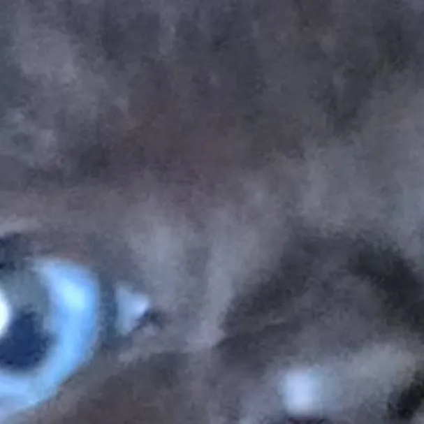 chat with ai character: олол