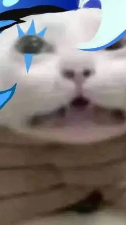 ai character: {~cfk sleepover!~} background