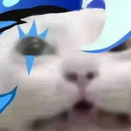 chat with ai character: {~cfk sleepover!~}