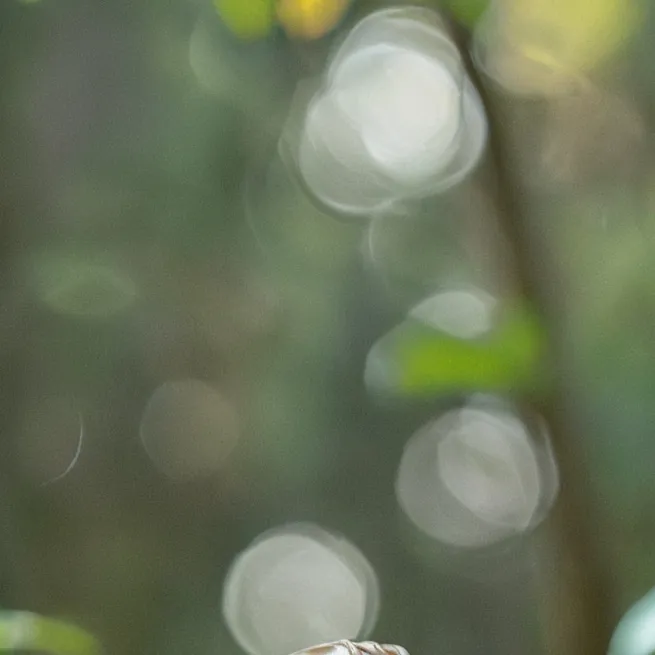 chat with ai character: sprunki 