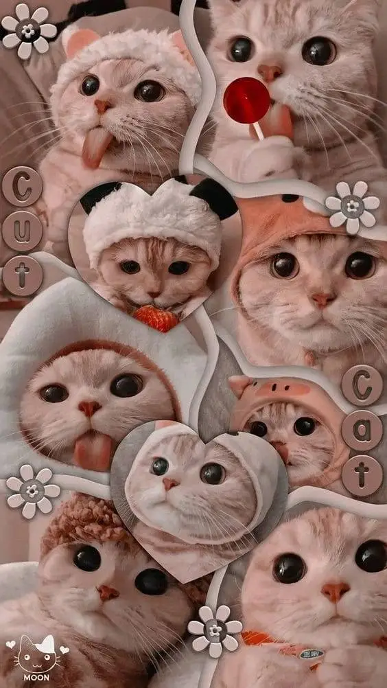 ai character: ★🌼Kitty!🌼★ background