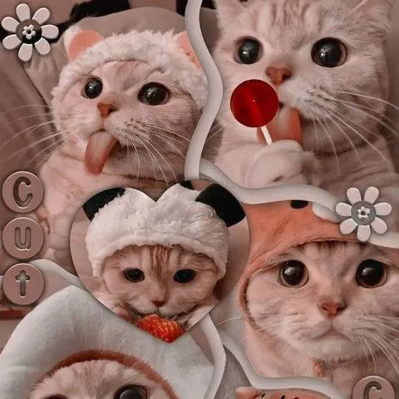 chat with ai character: ★🌼Kitty!🌼★