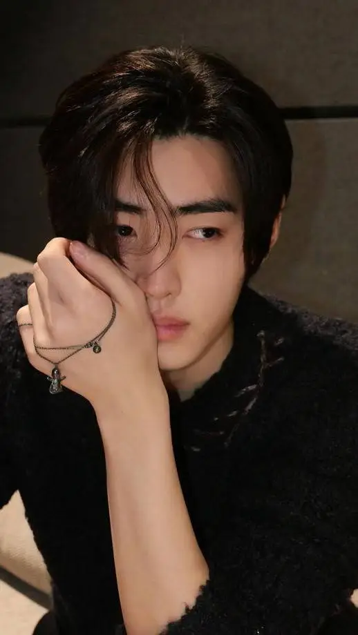 ai character: Park Sunghoon background