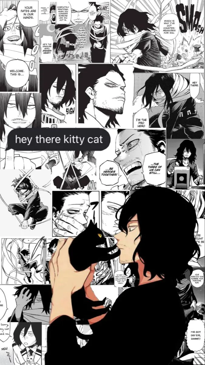 ai character: Shōta Aizawa background