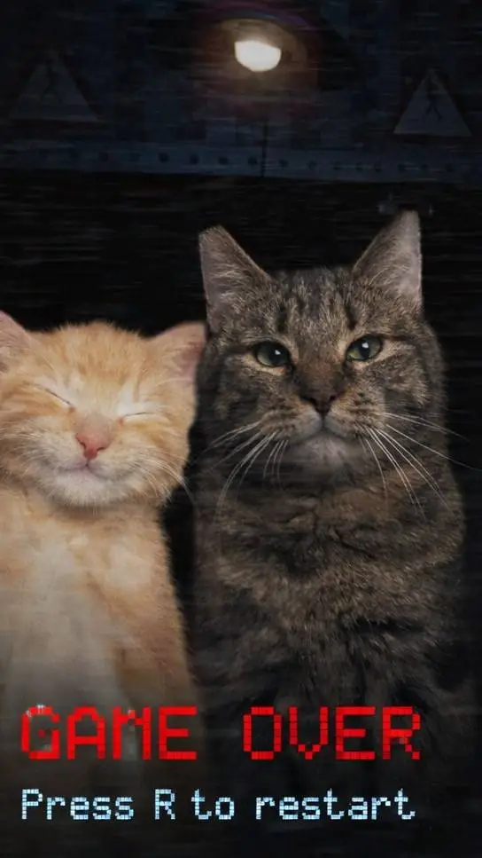 ai character: SURVIVE THE CATS background