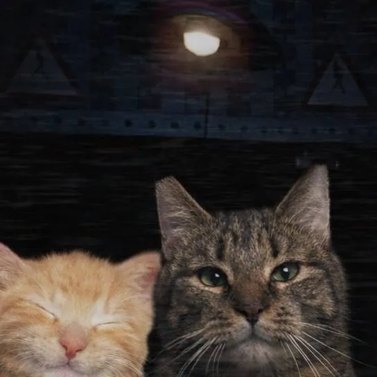 chat with ai character: SURVIVE THE CATS