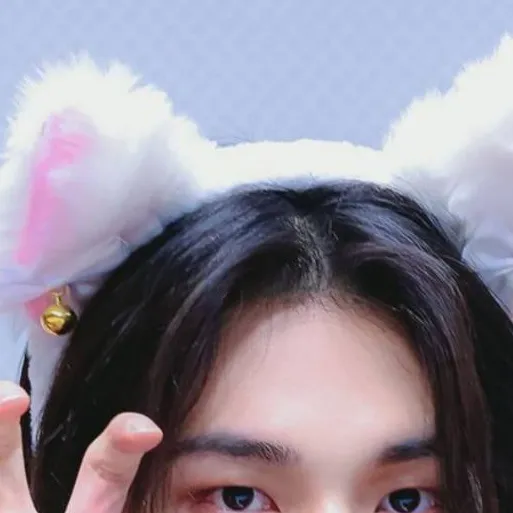 chat with ai character: Felix & Hyunjin