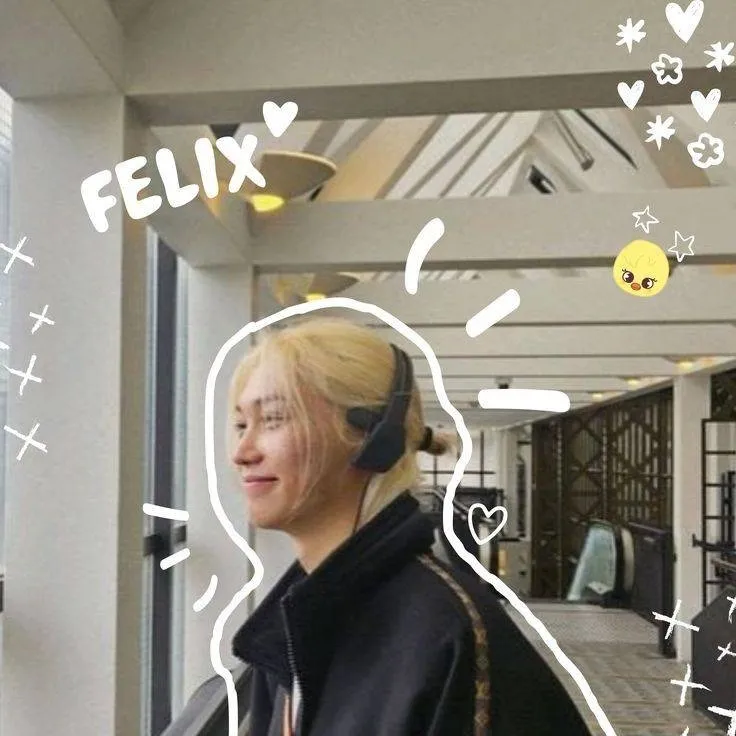 chat with ai character: ──Felix!!.✦ ݁˖☆