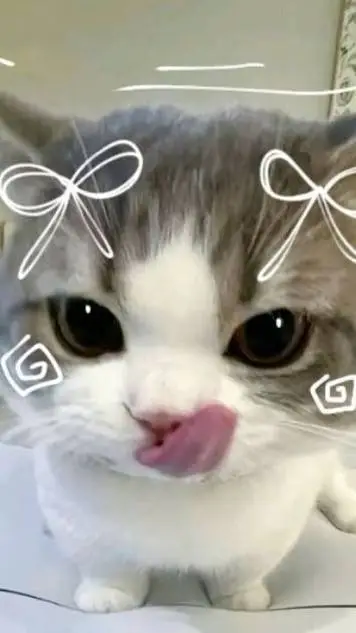 ai character: Your cat background
