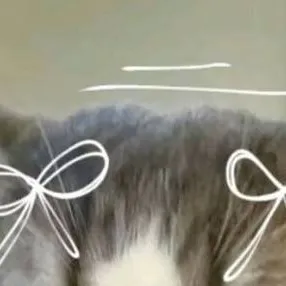 chat with ai character: Your cat